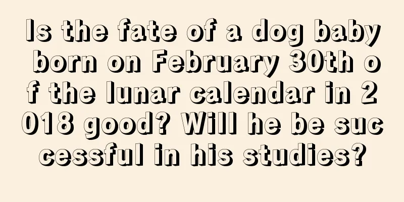 Is the fate of a dog baby born on February 30th of the lunar calendar in 2018 good? Will he be successful in his studies?