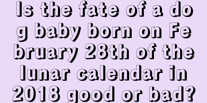 Is the fate of a dog baby born on February 28th of the lunar calendar in 2018 good or bad?