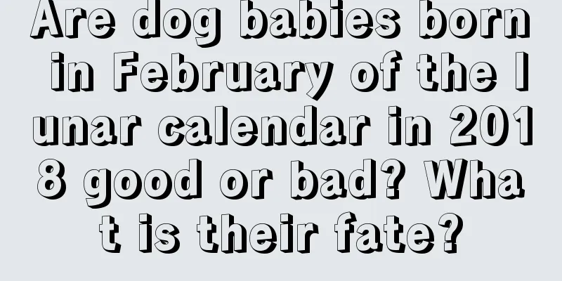 Are dog babies born in February of the lunar calendar in 2018 good or bad? What is their fate?