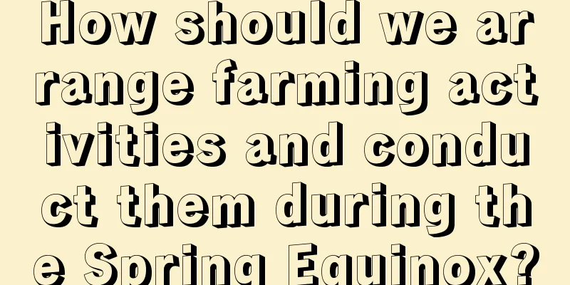 How should we arrange farming activities and conduct them during the Spring Equinox?