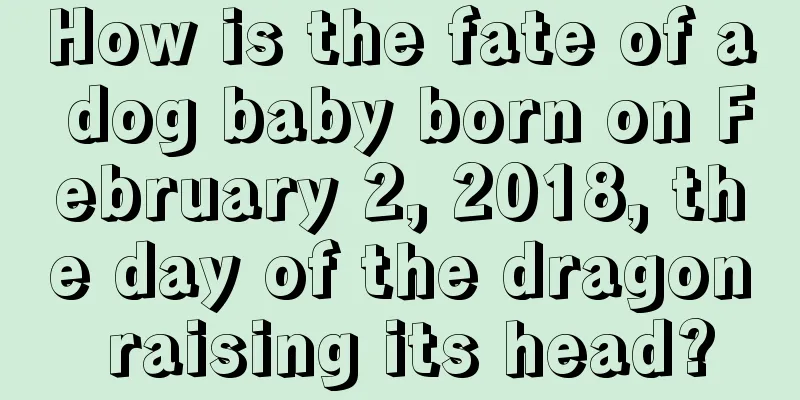How is the fate of a dog baby born on February 2, 2018, the day of the dragon raising its head?