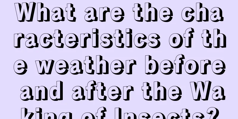 What are the characteristics of the weather before and after the Waking of Insects?