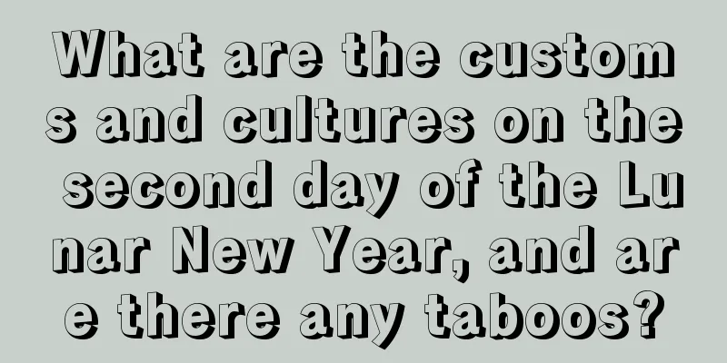 What are the customs and cultures on the second day of the Lunar New Year, and are there any taboos?