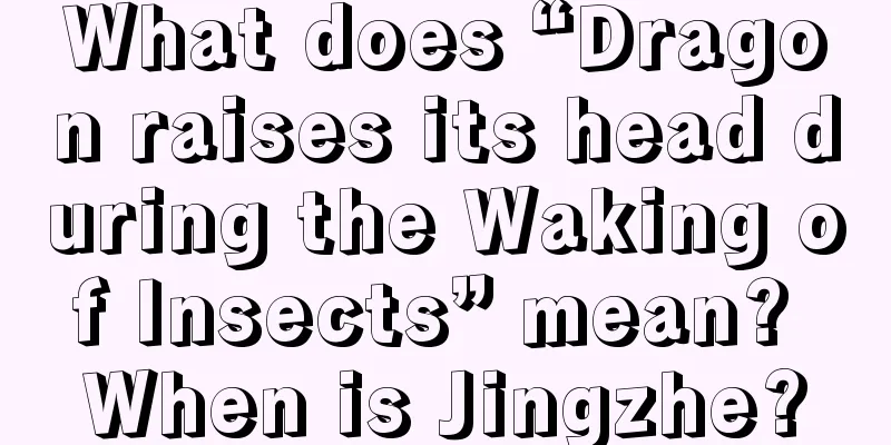 What does “Dragon raises its head during the Waking of Insects” mean? When is Jingzhe?