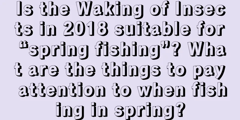 Is the Waking of Insects in 2018 suitable for “spring fishing”? What are the things to pay attention to when fishing in spring?
