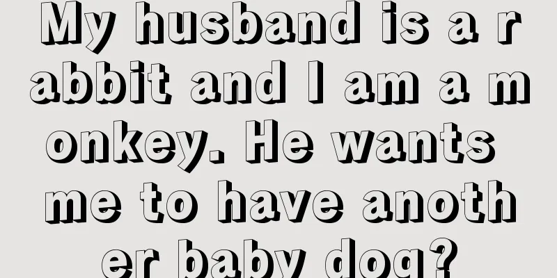 My husband is a rabbit and I am a monkey. He wants me to have another baby dog?