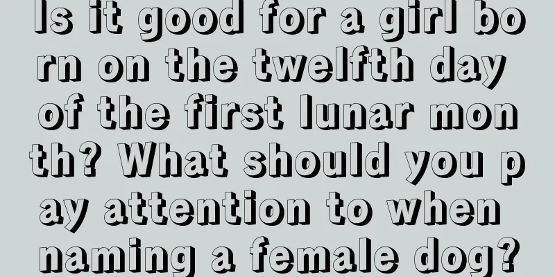 Is it good for a girl born on the twelfth day of the first lunar month? What should you pay attention to when naming a female dog?