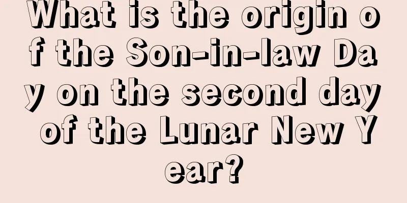 What is the origin of the Son-in-law Day on the second day of the Lunar New Year?