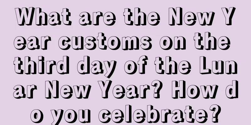 What are the New Year customs on the third day of the Lunar New Year? How do you celebrate?