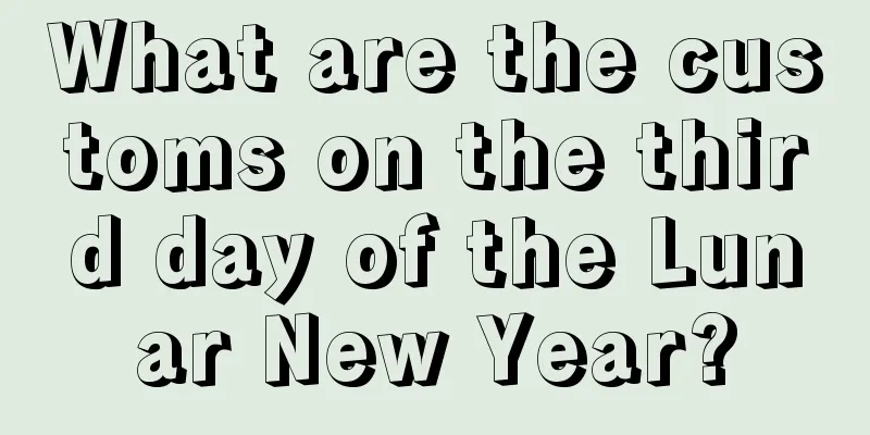 What are the customs on the third day of the Lunar New Year?