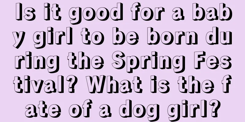 Is it good for a baby girl to be born during the Spring Festival? What is the fate of a dog girl?