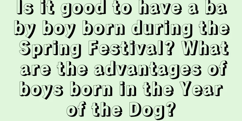 Is it good to have a baby boy born during the Spring Festival? What are the advantages of boys born in the Year of the Dog?