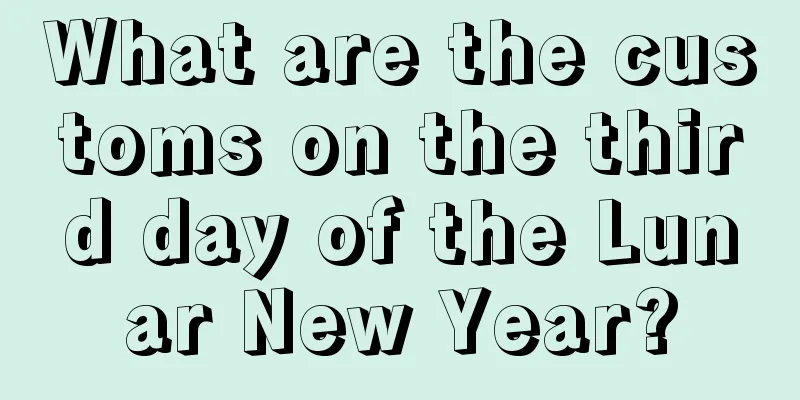What are the customs on the third day of the Lunar New Year?
