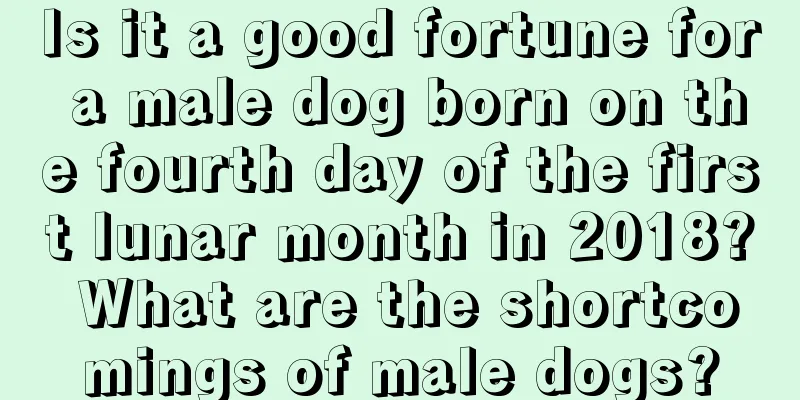 Is it a good fortune for a male dog born on the fourth day of the first lunar month in 2018? What are the shortcomings of male dogs?