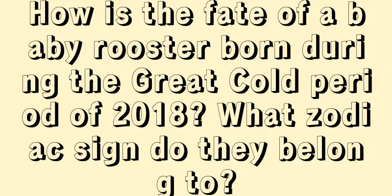 How is the fate of a baby rooster born during the Great Cold period of 2018? What zodiac sign do they belong to?