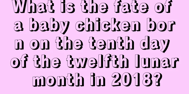 What is the fate of a baby chicken born on the tenth day of the twelfth lunar month in 2018?