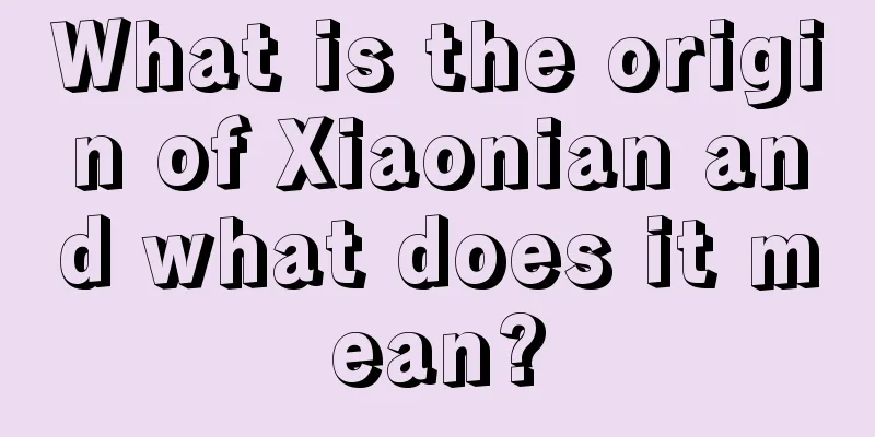 What is the origin of Xiaonian and what does it mean?
