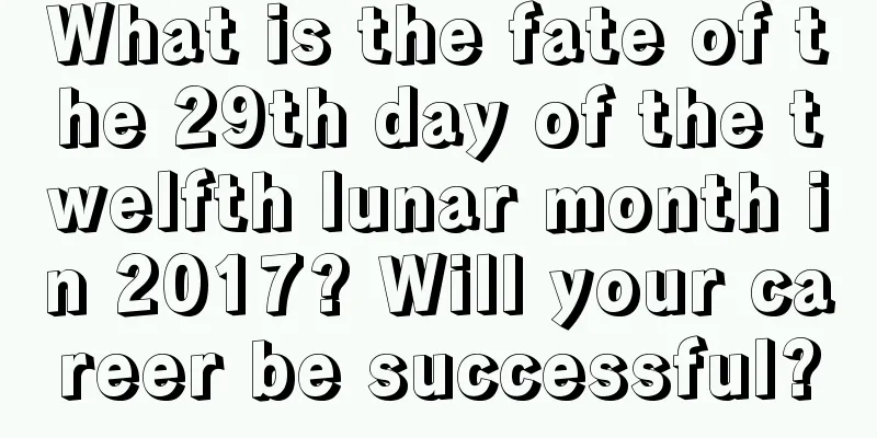 What is the fate of the 29th day of the twelfth lunar month in 2017? Will your career be successful?
