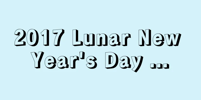 2017 Lunar New Year's Day ...