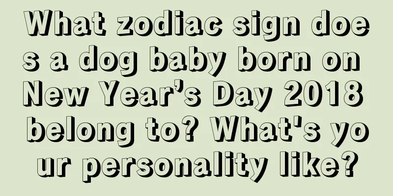 What zodiac sign does a dog baby born on New Year’s Day 2018 belong to? What's your personality like?
