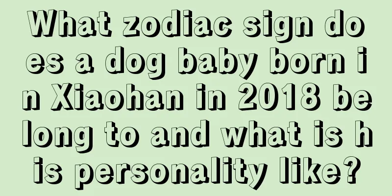 What zodiac sign does a dog baby born in Xiaohan in 2018 belong to and what is his personality like?
