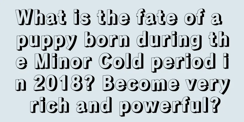 What is the fate of a puppy born during the Minor Cold period in 2018? Become very rich and powerful?