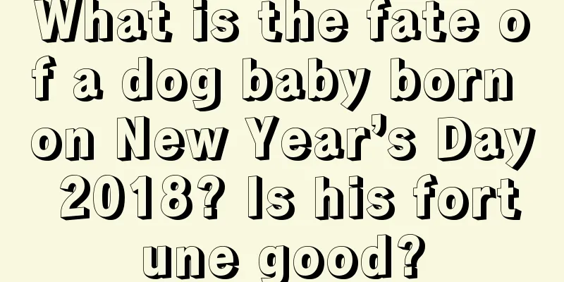 What is the fate of a dog baby born on New Year’s Day 2018? Is his fortune good?