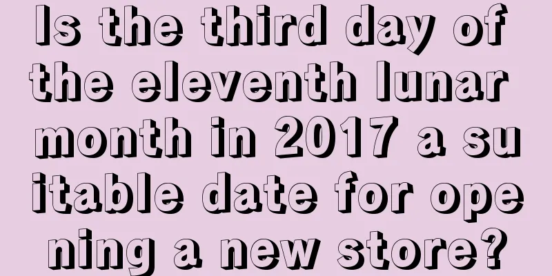 Is the third day of the eleventh lunar month in 2017 a suitable date for opening a new store?