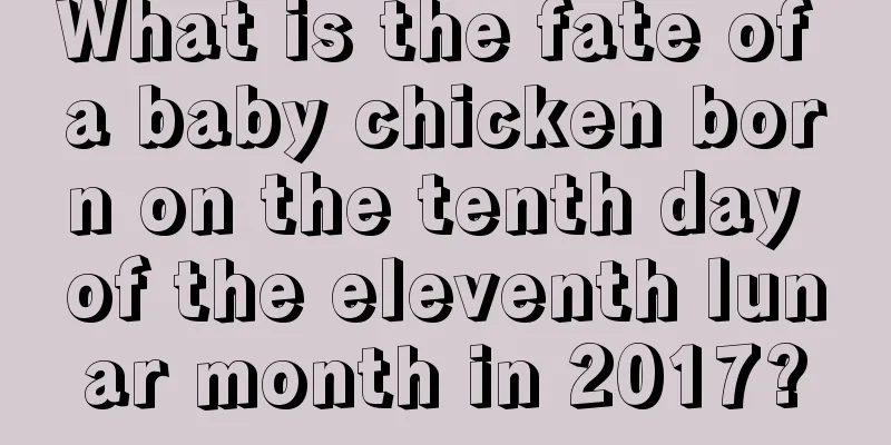 What is the fate of a baby chicken born on the tenth day of the eleventh lunar month in 2017?