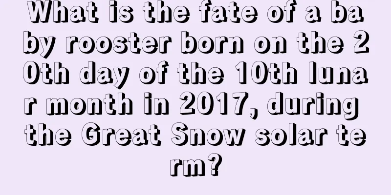 What is the fate of a baby rooster born on the 20th day of the 10th lunar month in 2017, during the Great Snow solar term?