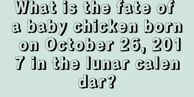 What is the fate of a baby chicken born on October 26, 2017 in the lunar calendar?