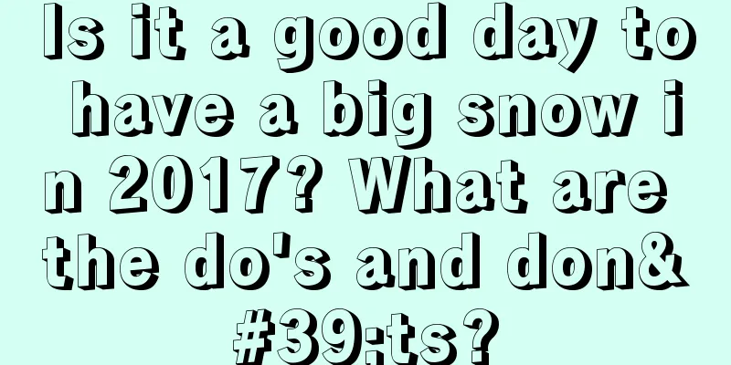 Is it a good day to have a big snow in 2017? What are the do's and don'ts?