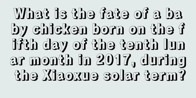 What is the fate of a baby chicken born on the fifth day of the tenth lunar month in 2017, during the Xiaoxue solar term?