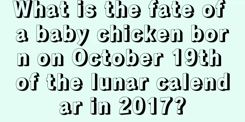 What is the fate of a baby chicken born on October 19th of the lunar calendar in 2017?