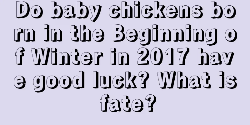 Do baby chickens born in the Beginning of Winter in 2017 have good luck? What is fate?