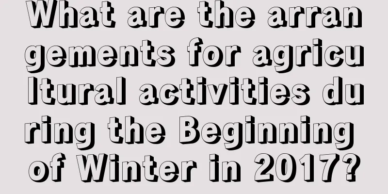 What are the arrangements for agricultural activities during the Beginning of Winter in 2017?