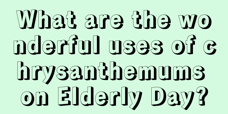 What are the wonderful uses of chrysanthemums on Elderly Day?
