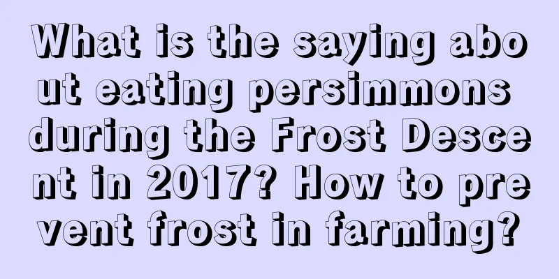 What is the saying about eating persimmons during the Frost Descent in 2017? How to prevent frost in farming?