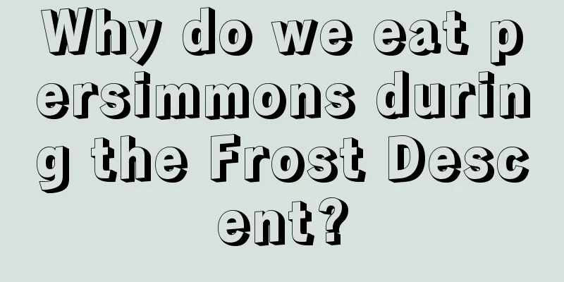 Why do we eat persimmons during the Frost Descent?