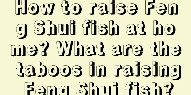 How to raise Feng Shui fish at home? What are the taboos in raising Feng Shui fish?