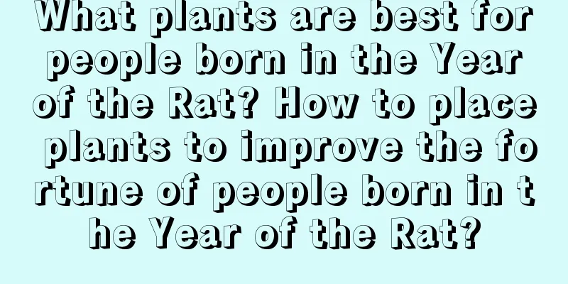 What plants are best for people born in the Year of the Rat? How to place plants to improve the fortune of people born in the Year of the Rat?