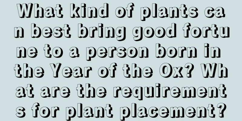 What kind of plants can best bring good fortune to a person born in the Year of the Ox? What are the requirements for plant placement?