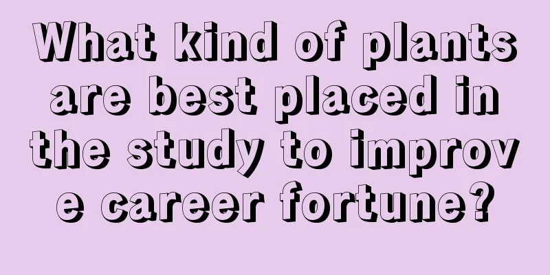 What kind of plants are best placed in the study to improve career fortune?