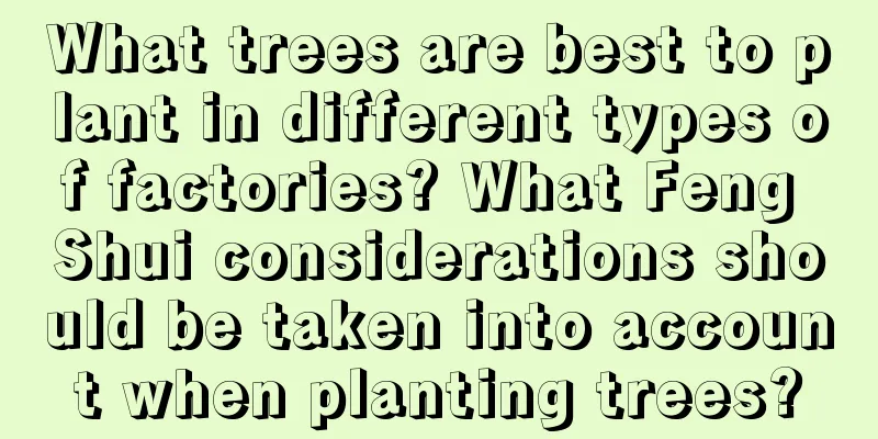 What trees are best to plant in different types of factories? What Feng Shui considerations should be taken into account when planting trees?