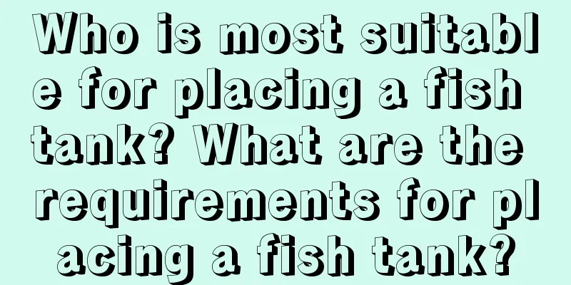 Who is most suitable for placing a fish tank? What are the requirements for placing a fish tank?