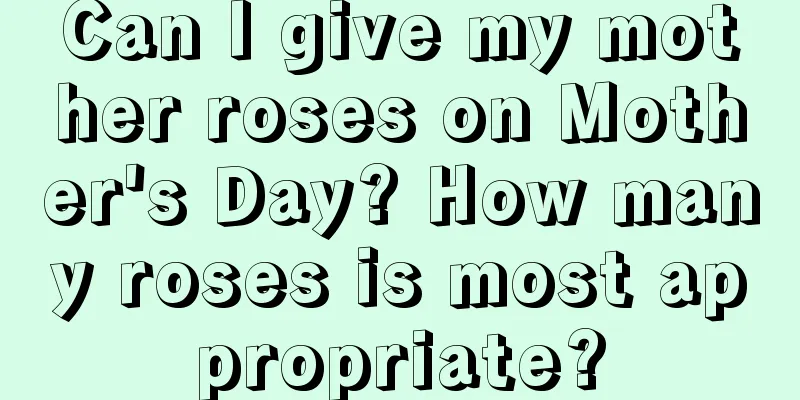Can I give my mother roses on Mother's Day? How many roses is most appropriate?