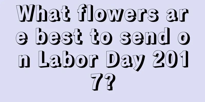 What flowers are best to send on Labor Day 2017?