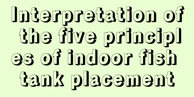 Interpretation of the five principles of indoor fish tank placement