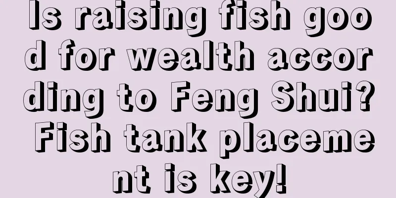 Is raising fish good for wealth according to Feng Shui? Fish tank placement is key!