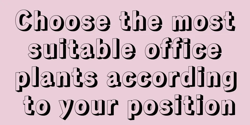 Choose the most suitable office plants according to your position